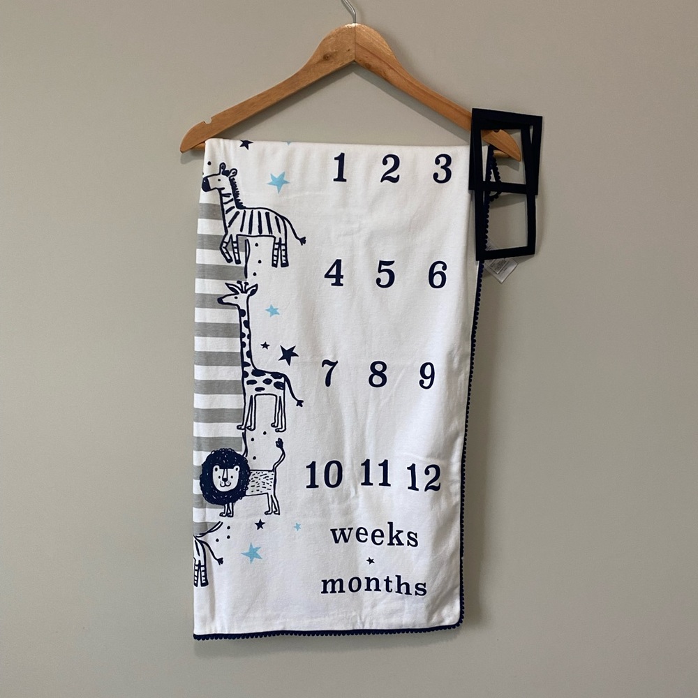 Baby essentials Baby Monthly Milestone Blanket.